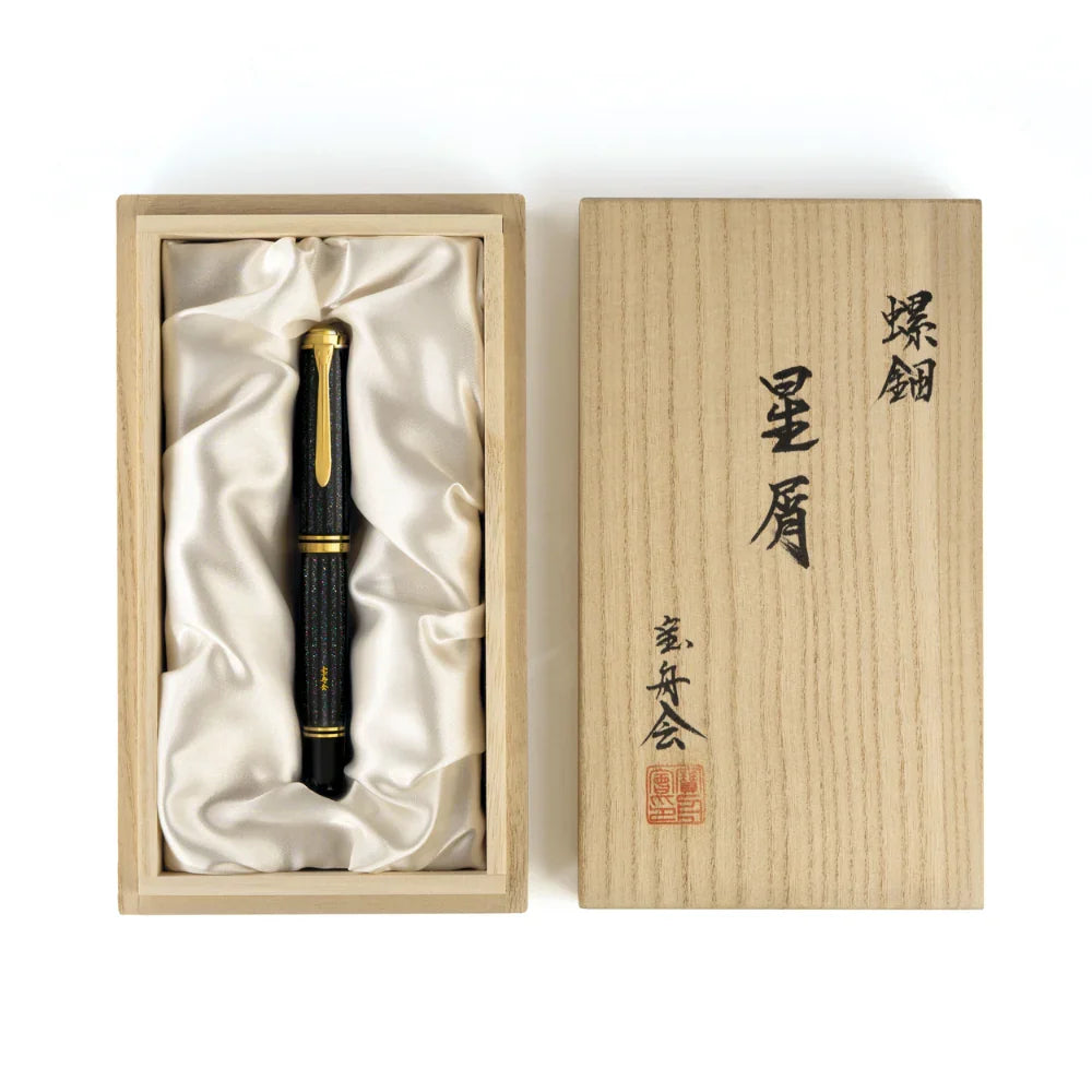 Stylo plume Pelikan Souverän M1000 Raden Stardust - Édition limitée