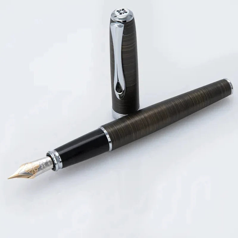 Stylo Plume Füllfederhalter Excellence A2 Oxyd chromé 14Kt, Eisen