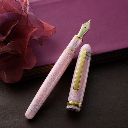 Platinum, Penna stilografica, #3776 Century Celluloide, 14Kt, Sakura