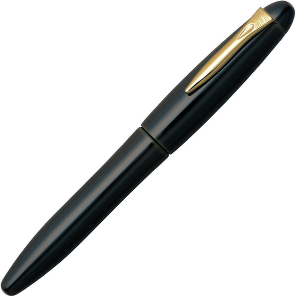 Platinum, penna stilografica, Izumo Tame-nuri, 18Kt, Sora-tame