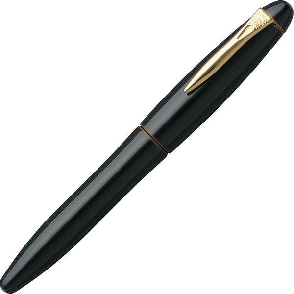 Platinum, penna stilografica, Izumo Tame-nuri, 18Kt, Biwa-tame