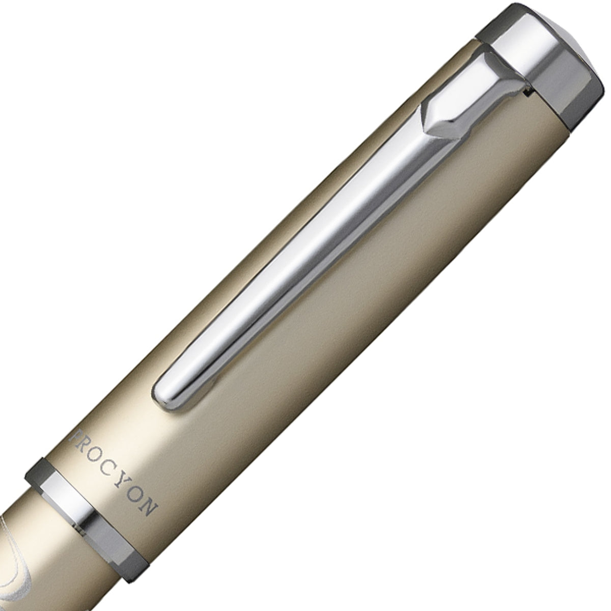 Platinum, penna stilografica, Procyon Nishikigoi